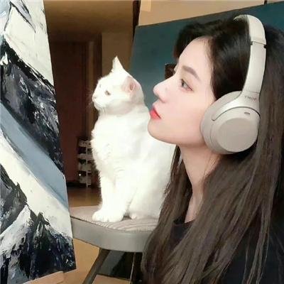 叠影迷离